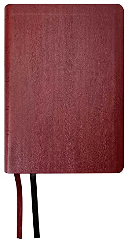 NASB Large Print Compact Bible, Red, Leathertex, 2020 text