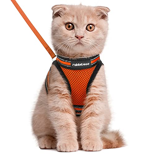 rabbitgoo Cat Harness and Leash Set for Walking Escape Proof, Adjustable Soft Kittens Vest with Reflective Strip for Cats, Comfortable Outdoor Vest, Orange, L