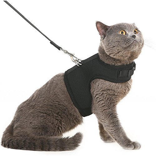 PUPTECK Soft Mesh Cat Vest Harness and Leash Set Puppy Padded Pet Harnesses Escape Proof for Cats Small Dogs Rabbits Bunny, Black XL