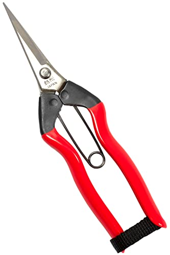 RANSHOU Garden Shears 7.2 Sharp Japanese Stainless Steel Blade, Precision Pointed Hand Garden Scissors for Trimming, Harvesting, Spring Loaded Lightweight Gardening Snips, Made in JAPAN