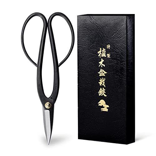 Wazakura Ashinaga Bonsai Scissors, Made in Japan 8inch(200mm), Japanese Bonsai Garden Tools, Hasami Pruning Shears - Ashinaga Long Handle Black