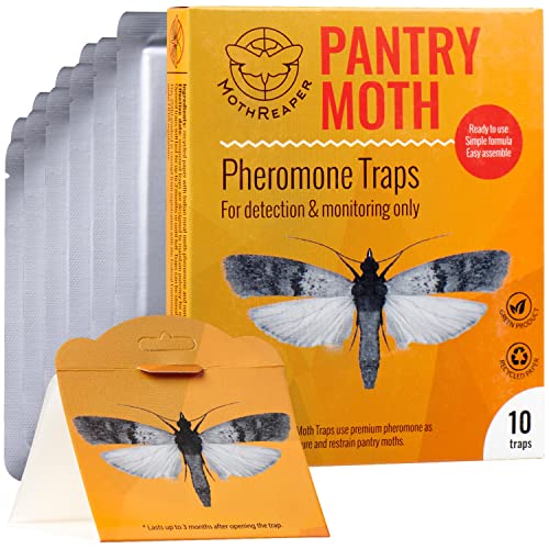 Kitchen Pantry Moth Trap 10-Pack - Food Moth Traps with Pheromones Prime, Eliminate Moth Infestation, How to Get Rid of Indian Meal Moths, Kitchen Moth Repellent