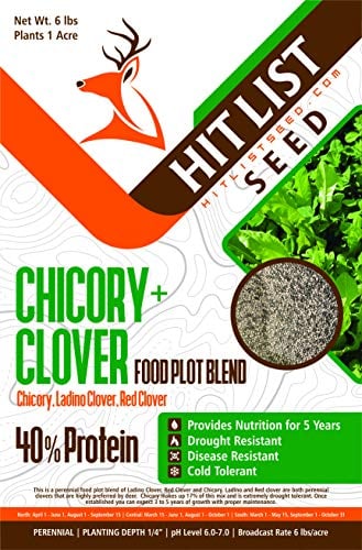 Hit List Seed Chicory + Clover Perennial Deer Food Plot Blend, 6 lbs (1 Acre) - Chicory, Ladino Clover, Red Clover, Whitetail, Blacktail, Deer, for Hunting Plot, Pure, Natural, High in Protein