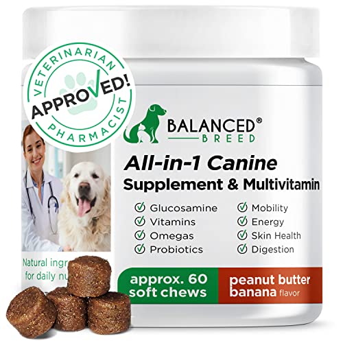 Balanced Breed Dog Vitamins Skin Coat Allergy Hip Joint Glucosamine Salmon Oil Large Senior Dog Supplements Vitamins C Multivitamin Dogs Senior Dog Vitamins Supplements Small Dog Multivitamin Chewable