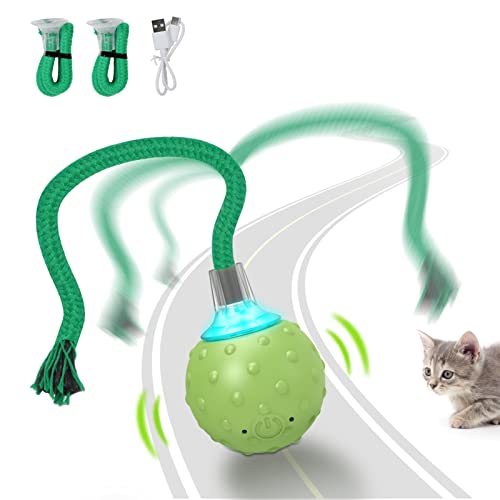 Saolife Interactive Cat Toys Ball, Motion Activated Electric Rolling Ball Toys for Cats/Kitty, Pets Smart Automatic Teaser, USB Rechargeable
