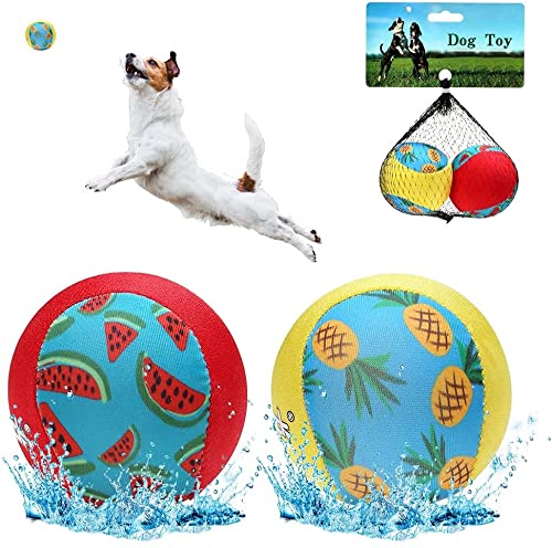 PUPTECK Floating Bouncing Balls for Pools, 2 Pack Dog Water Toys for Summer Swimming Pool Games, Interactive Puppy Training Toy with Cute Pineapple and Watermelon Pattern