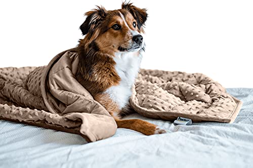 Nappy Puppy - Weighted Dog Blanket | Specially Designed for Anxious Dogs | Extra Comfortable | Premium Minky Fabric | Hypoallergenic Glass Beads| Brown | Small 2 lb