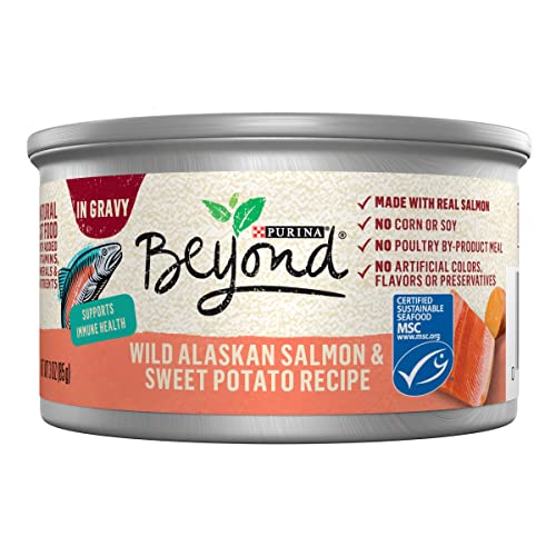 Purina Beyond Wild Alaskan Salmon And Sweet Potato Recipe In Wet Cat Food Gravy - (12) 3 Oz. Cans