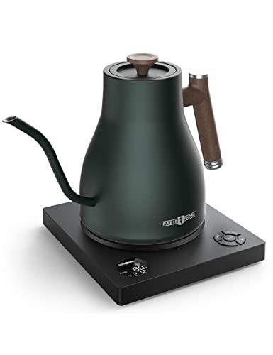 Paris Rhne Gooseneck Electric Pour-Over Kettle, Temperature Variable Kettle for Coffee Tea Brewing, 1L Stainless Steel Kettle, Temperature Holding, Built-in Stopwatch, Button Control, Green