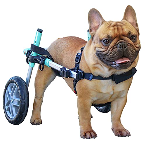 Walkin Wheels Small Dog Wheelchair, Lightweight Dog Wheelchair for Back Legs, 15-25 lbs, for 9-11 inches Leg Height - Seafoam