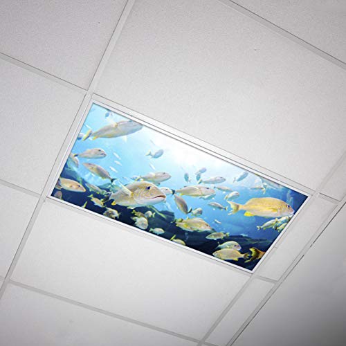 Octo Lights Fluorescent Light Covers for Ceiling Lights Classroom 2x4 (22.38in X 46.5in) Improve Focus, Eliminate Headaches, Provide Florescent Light Relief - Ocean 004