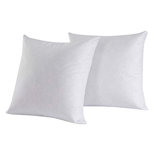 HOMESJUN Set of 2, Feather and Down Square Decorative Throw Pillow Insert, Cotton Cover, 18x18 Inch