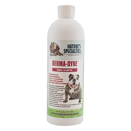 Nature's Specialties Derma Dyne Iodine Medicated Dog Shampoo Gentle Cleanse Non Abrasive Soothing Cleanse for Pets, Made in USA Non-Toxic, 16 Ounces