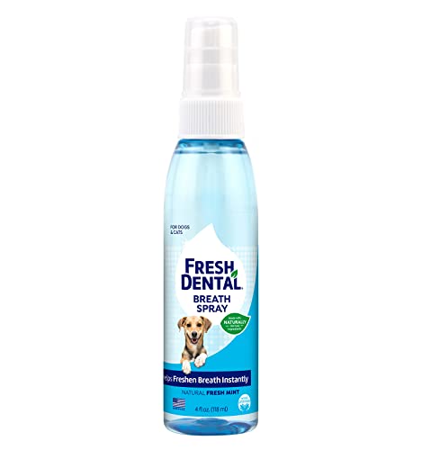 Naturel Promise Fresh Dental Oral Care Spray for Pets, 4oz, Fresh Mint - Dog Breath Freshener Made in USA with No Brushing Required to Eliminate Bad Breath Fast - Fresh Breath Spray for Dogs & Cats