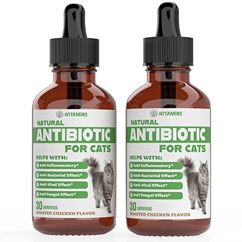 Natural Antibiotics for Cats | Cat Supplements | Cat Antibiotic | Cat Antibiotics | Cat Immune Support | Antibiotic for Cats | Cat Multivitamin | Multivitamin for Cats | 2 Pack: 60 Servings Total
