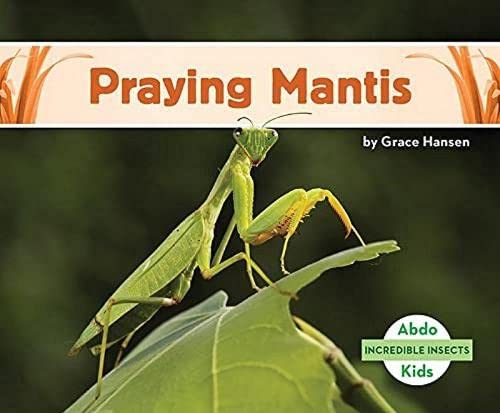 Praying Mantis (Incredible Insects)