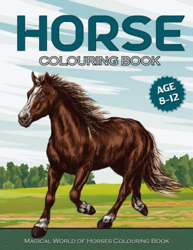 Horse Colouring Book: The Amazing World Of Horse Colouring Books For Girls Age 8-12