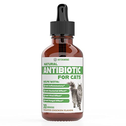 Natural Antibiotics for Cats | Cat Supplements | Cat Antibiotic | Cat Antibiotics | Cat Immune Support | Antibiotic for Cats | Cat Multivitamin | Multivitamin for Cats | 1 Pack: 30 Servings Total