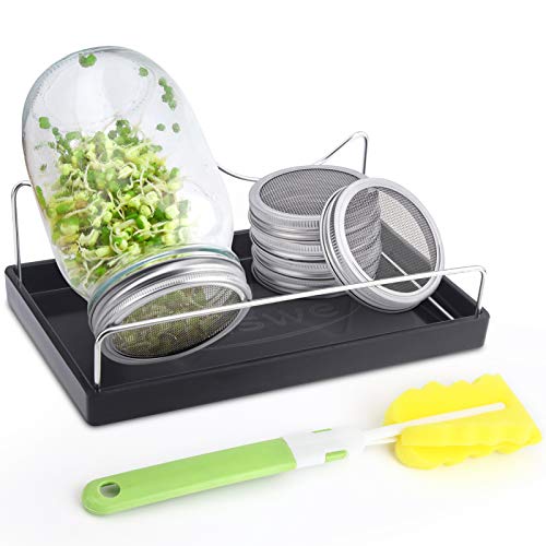 Haswe Seed Sprouting Jar Kit (JARS NOT INCLUDED) - 4 Stainless Steel Screen Sprout Lids1 Melamine Tray, Stand and Canning Brush for Wide Mouth Mason Jar | Growing Broccoli, Alfalfa, Mung Bean