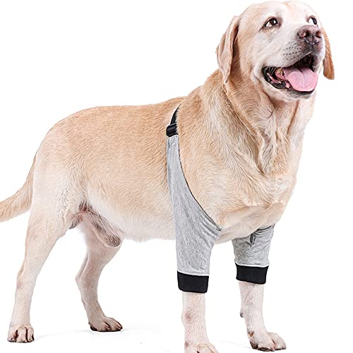 HDKUW Dog Front Leg Braces Recovery Sleeve Protector Pet Knee Brace Wounds for Medium Large Dog (XL) 1