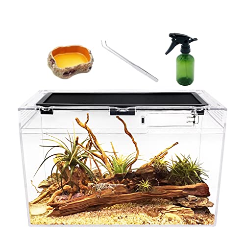 Reptile Growth Reptile Terrarium,16" x 8"x 10"Reptile Tank with Full View Visually Appealingfor InsectFishTarantulaHermit CrabJumping SpiderIguanaTortoiseLeopard GeckoFrogBearded Dragon