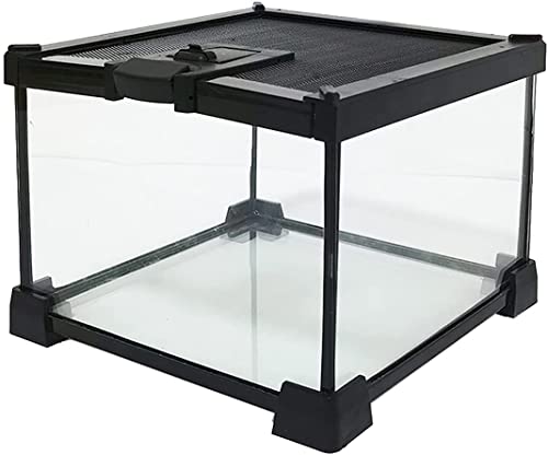 kathson Mini Reptile Glass Terrarium Tank 7.9"x7.9"x5.7" Amphibians Habitat Cage Full View Visually Appealing Sliding Screen Top for Bearded Dragons Lizards Geckos Hermit Crab Frog