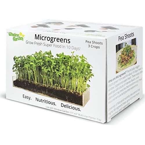 Window Garden Microgreen Organic Pea Shoot 3 Pack Refill  Use with Grow n Serve Kit, Multi-Use 15 x 6 Planter Tray, Pre-measured Soil + Seed. Easy and Convenient, Sprout 3 Crops of Superfood Greens