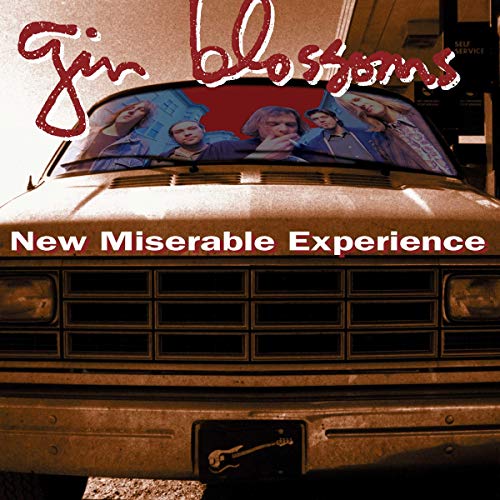 New Miserable Experience [LP]