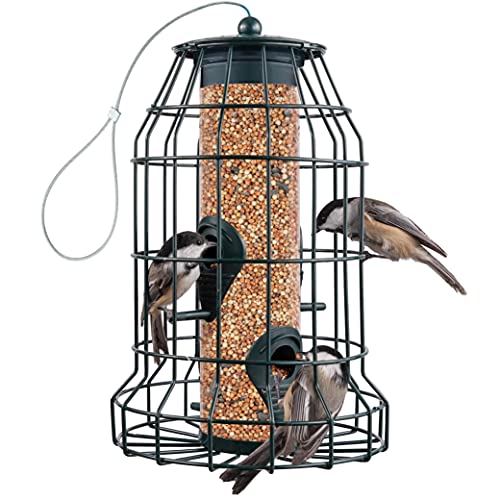 Squirrel Resistant Bird Feeders 22 oz. Bird Feeder with 4 Perches For Small Backyard Birds ONLY. Bird Feeder Squirrel Proof / Chew Proof / Rustproof. Fill with Wild Bird Seed for Outside Feeders