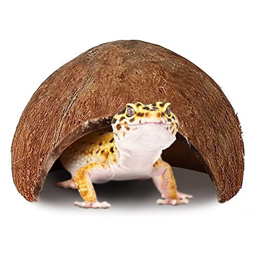 Meric Leopard Gecko Coco Hut, Basking, Resting and Hiding Place for Reptiles, Exercise Tool, Beautiful Tank Decoration, 1 Pc Per Pack