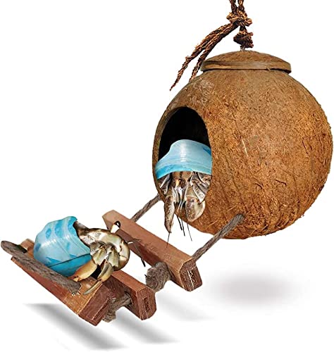 SunGrow Hermit Crab and Dwarf Gecko Coco Hut with Ladder, Cave Habitat with Hanging Loop, Shell Diameter 3.5, Ideal for Gecko Hatchlings