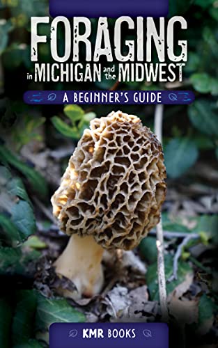 Foraging in Michigan and the Midwest: A Beginner's Guide