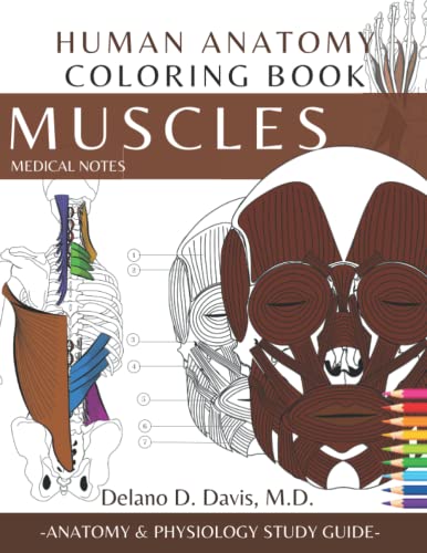 Human Anatomy Coloring Book: Muscles. Medical Notes | Detailed Musculoskeletal Illustrations |: Musculoskeletal Anatomy and Physiology Coloring Study Workbook.