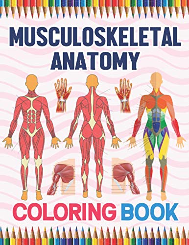 Musculoskeletal Anatomy Coloring Book: Human Body And Human Anatomy Learning Workbook.Muscular System Coloring Book.Kids Anatomy Coloring Book.Human ... Coloring Workbook For Anatomy Students