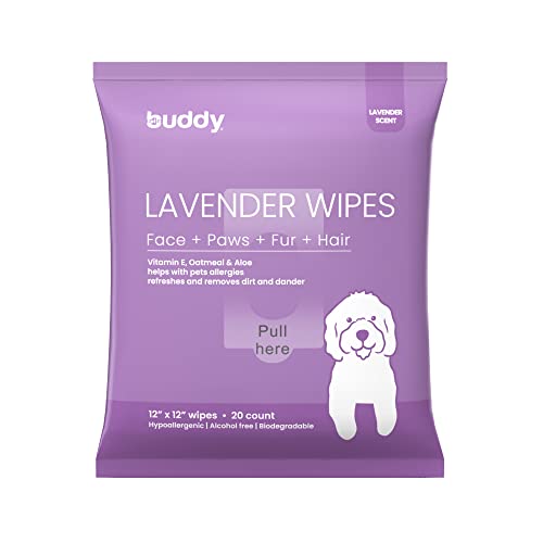 HELLO BUDDY Dog Grooming Wipes pH Balanced -Deodorizing Lavender, Vitamin E, Aloe, Oatmeal -Cleanse Dander and Dirt, Gigantic 12x12 Soft Plant-Based Wipes for Paws, Face, Body, Butt -20 Count