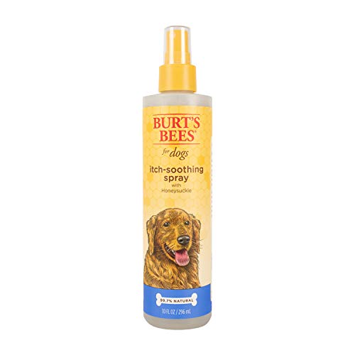 Burt's Bees for Dogs Natural Itch Soothing Spray with Honeysuckle | Best Anti-Itch Spray for Dogs With Itchy Skin | Cruelty Free, Sulfate & Paraben Free - Made in the USA, 10 Oz