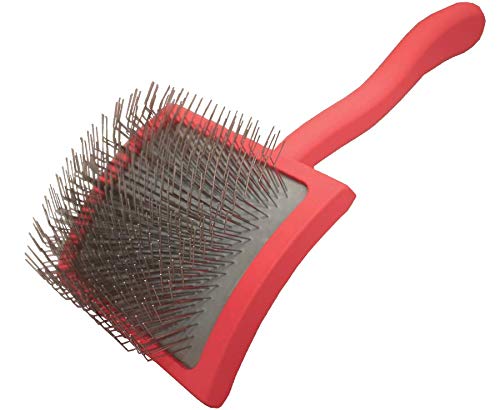 Chris Christensen Big G Dog Slicker Brush for Dogs (Goldendoodles, Labradoodles, Poodles), Groom Like a Professional, Fluff Detangle Style, Saves Time Energy, Coral, Large