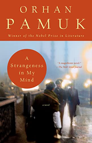 A Strangeness in my Mind: A novel (Vintage International)