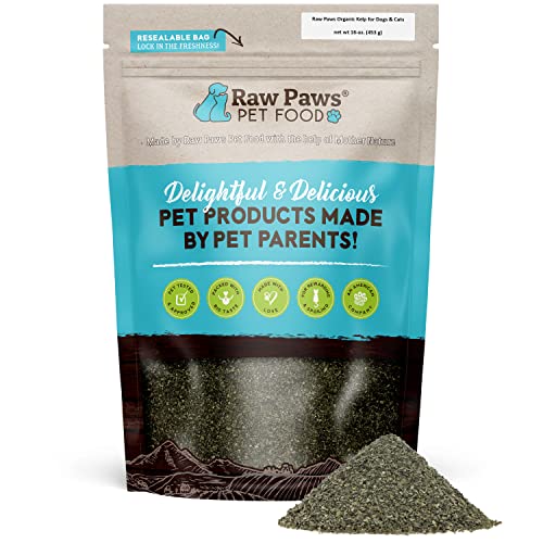 Raw Paws Organic Sea Kelp for Dogs & Cats, 16-oz - Iodine Rich for Thyroid, Digestive & Immune Health - Seaweed Powder for Dogs, Sea Kelp for Cats, Kelp Supplement for Dogs, Dried Kelp Powder for Dogs