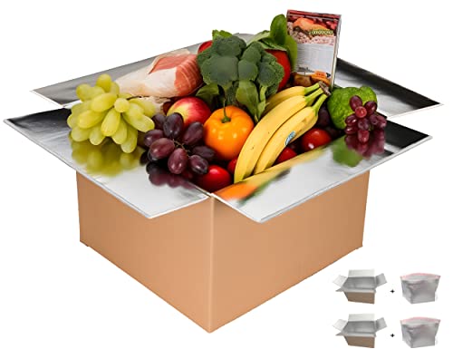 Friomex Thermo Chill Double Insulated Shipping Box with Aluminum Foil Liner - Cold Shipping Boxes for Frozen Food - Insulated Cooler Boxes for Shipping, Mailing (2 Packs - 9.5"x7.5"x5.5")