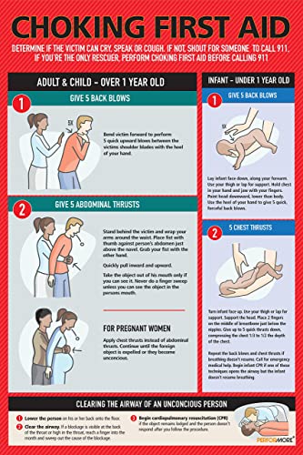 Safety Choking Victim Poster Measures 12" x 18", Choking First Aid Poster for Infants, Kids, Pregnants, and Adults, First Aid Guide Quick Reference Guide, Laminated by Ring Binder Depot