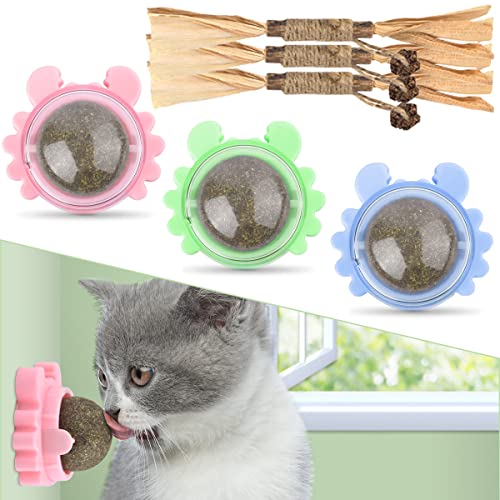 Catnip Balls & Silvervine Chew Sticks, 6 Pack Natural Catnip Toys for Kittens Teeth Cleaning, Matatabi Dental Care, Increase Appetite, Calm Cat Anxiety and Stress, Aggressive Chewers Cat Dental Toy
