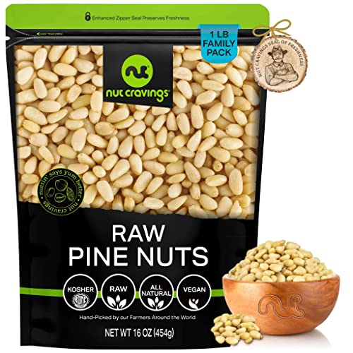 Raw Pine Nuts Pignolias, Unsalted, Shelled, Superior to Organic (16oz - 1 LB) Bulk Nuts Packed Fresh in Resealable Bag - Healthy Protein Food Snack, All Natural, Keto Friendly, Vegan, Kosher