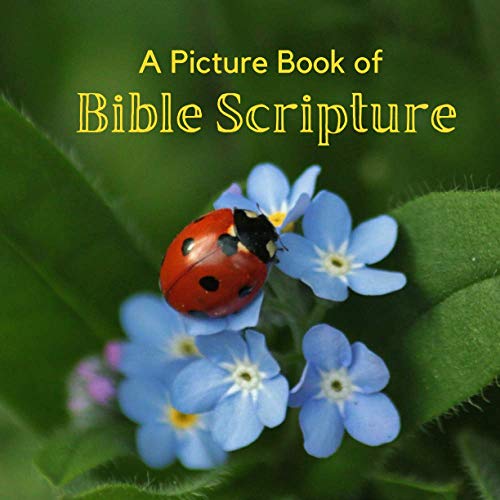 A Picture Book of Bible Scripture: A Beautiful Large Print Picture Book for Seniors With Alzheimers or Dementia. (Picture Books For Seniors)