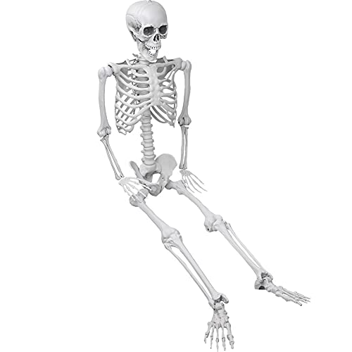 5.4ft/165cm Halloween Skeleton - Halloween Human Skeletons Full Body Bones with Movable Joints for Halloween Props Spooky Party Decoration