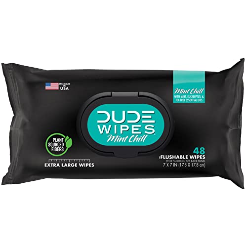DUDE Wipes Flushable Wipes - 1 Pack, 48 Wipes - Mint Chill Extra-Large Wet Wipes with Eucalyptus & Tea Tree Oil - Sewer and Septic Safe