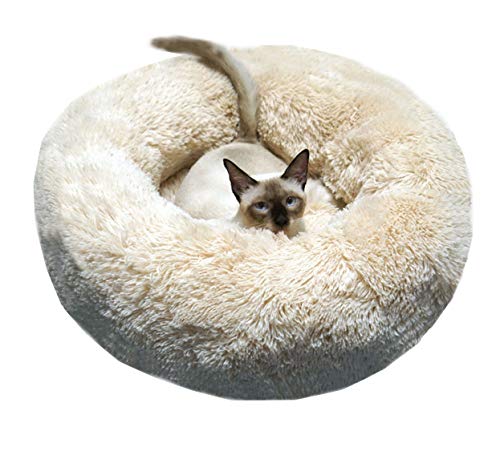 BODISEINT Modern Soft Plush Round Pet Bed for Cats or Small Dogs, Mini Medium Sized Dog Cat Bed Self Warming Autumn Winter Indoor Snooze Sleeping Cozy Kitty Teddy Kennel (24'' D x 8'' H, Champagne)