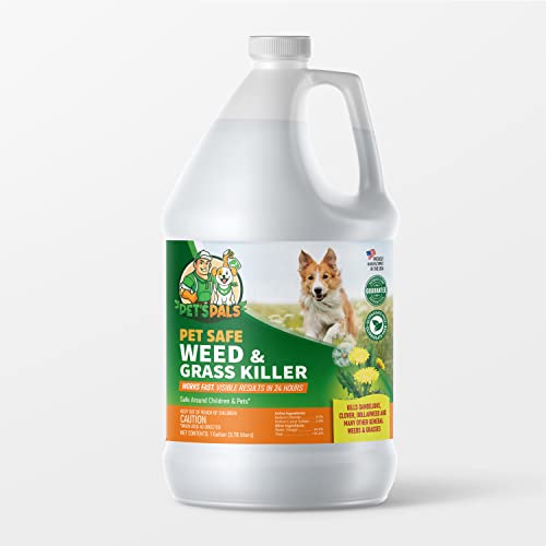 Pet's Pal Natural Weed Killer | Pet Safe Spray | Ready-to-use Natural Herbicide | Environmentally Safe | Bee Safe | Glyphosate Free | Safe for Kids (1 Gallon)