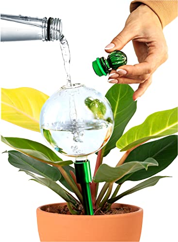 Plant Watering Globes XL with Metal Self Watering Planter Insert - Premium 16 Oz Glass Self Watering Globes Hand-Blown for Indoor Plants - Automatic Plant Waterer Gift Idea for Gardeners (1 Globe)