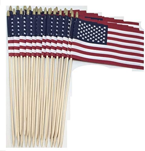 WINDSTRONG 8x12 Inch (Pointed Bottom Dowel) US American Hand Held Stick Gravemarker Cemetary Flags with Spear Tip 24 Inch Staff Made in The USA (1000)